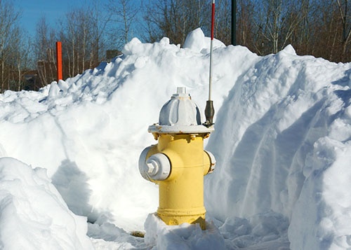 hydrant-with-spring-flag